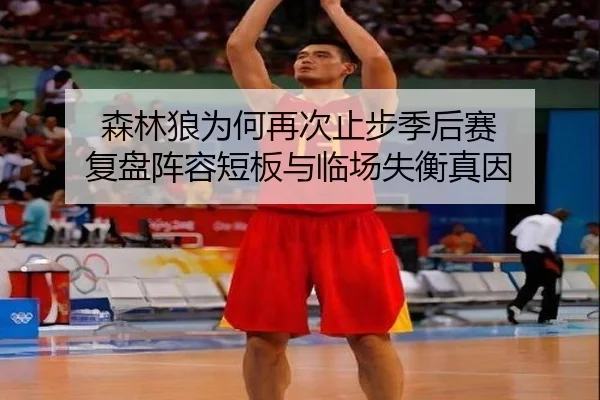 森林狼为何再次止步季后赛 复盘阵容短板与临场失衡真因